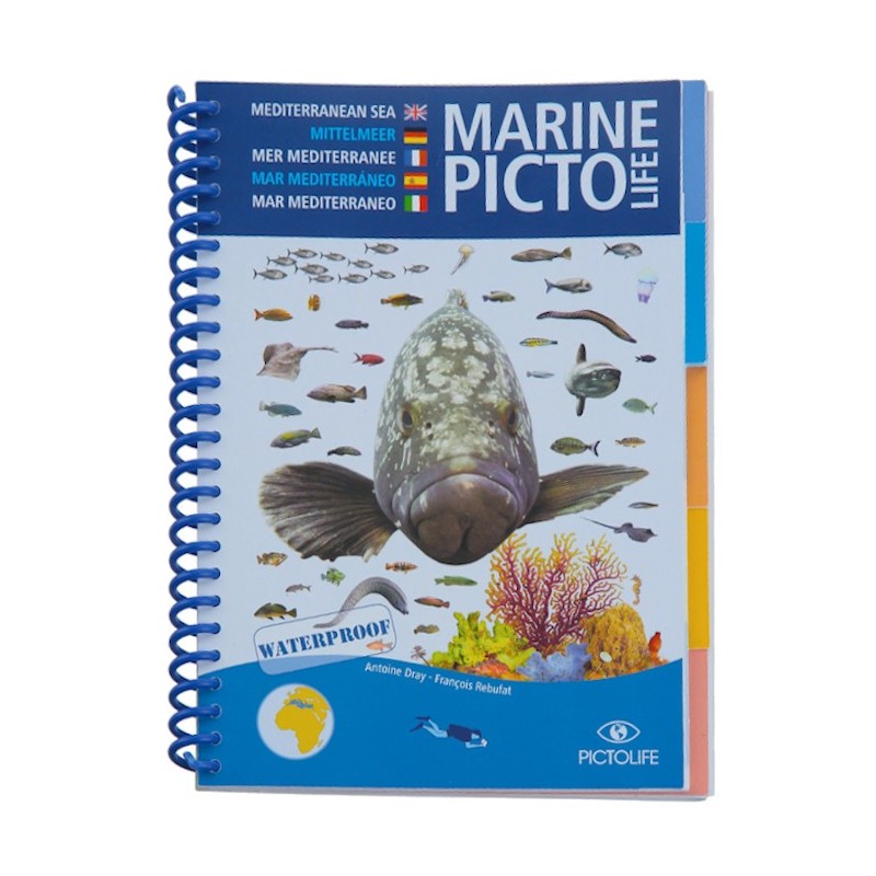Photo du produit